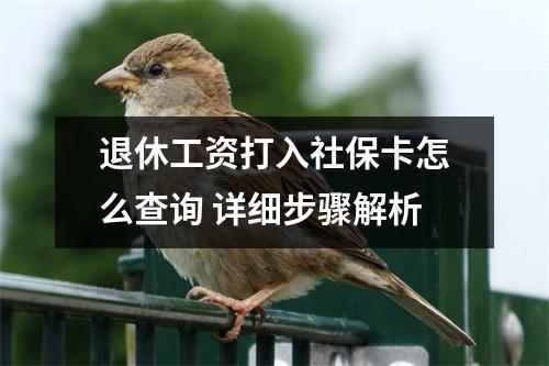 退休工资打入社保卡怎么查询 详细步骤解析