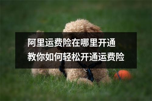 阿里运费险在哪里开通 教你如何轻松开通运费险