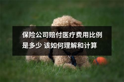 保险公司赔付医疗费用比例是多少 该如何理解和计算