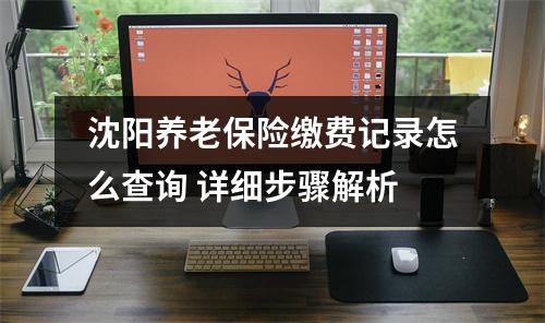 沈阳养老保险缴费记录怎么查询 详细步骤解析