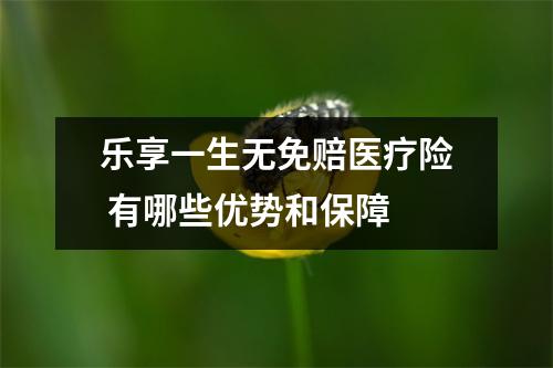 乐享一生无免赔医疗险 有哪些优势和保障