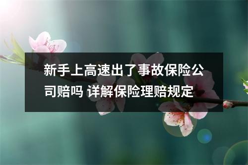 新手上高速出了事故保险公司赔吗 详解保险理赔规定