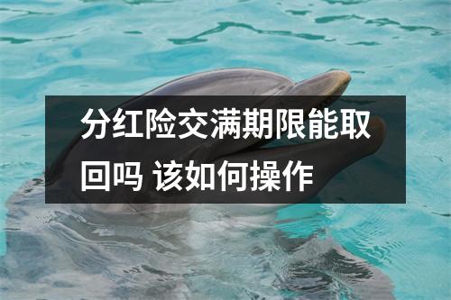 分红险交满期限能取回吗 该如何操作
