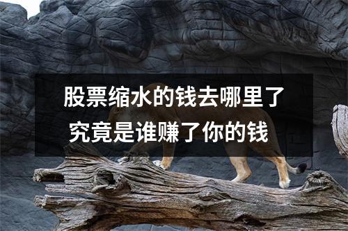 股票缩水的钱去哪里了 究竟是谁赚了你的钱