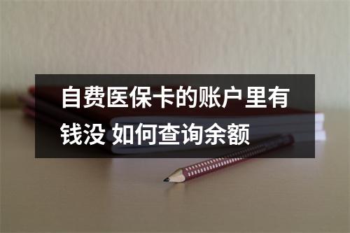 自费医保卡的账户里有钱没 如何查询余额