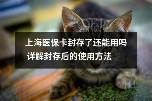 上海医保卡封存了还能用吗 详解封存后的使用方法