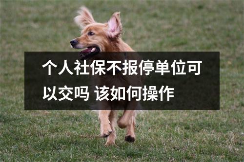 个人社保不报停单位可以交吗 该如何操作