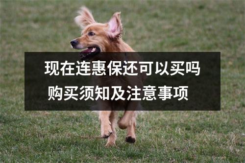 现在连惠保还可以买吗 购买须知及注意事项