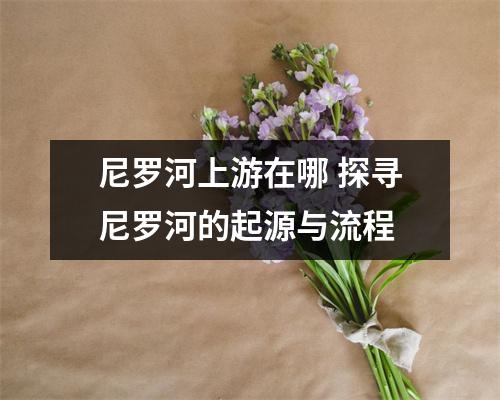 尼罗河上游在哪 探寻尼罗河的起源与流程