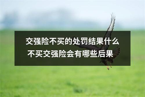 交强险不买的处罚结果什么 不买交强险会有哪些后果