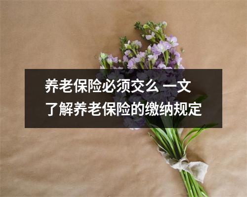 养老保险必须交么 一文了解养老保险的缴纳规定