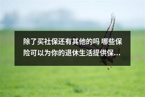 除了买社保还有其他的吗 哪些保险可以为你的退休生活提供保障