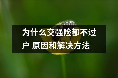为什么交强险都不过户 原因和解决方法
