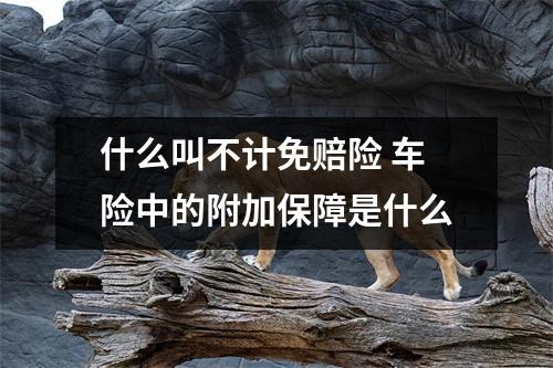 什么叫不计免赔险 车险中的附加保障是什么