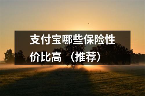 支付宝哪些保险性价比高 （推荐）