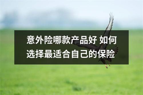 意外险哪款产品好 如何选择最适合自己的保险