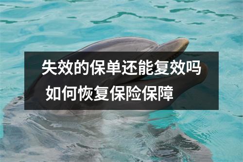 失效的保单还能复效吗 如何恢复保险保障