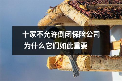 十家不允许倒闭保险公司 为什么它们如此重要 