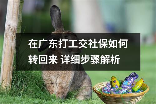 在广东打工交社保如何转回来 详细步骤解析