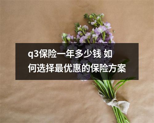 q3保险一年多少钱 如何选择最优惠的保险方案