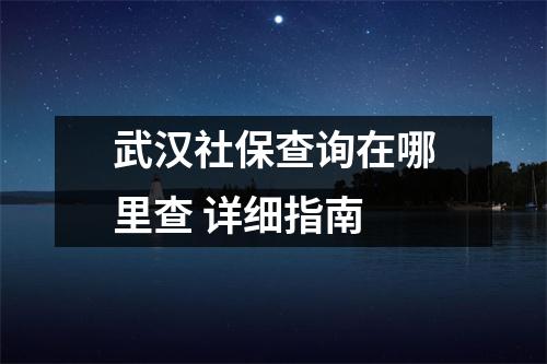 武汉社保查询在哪里查 详细指南