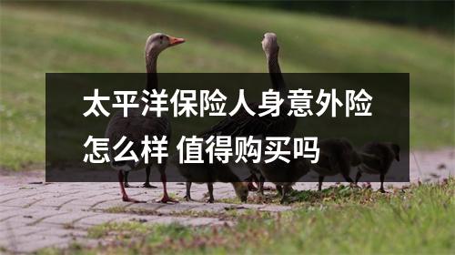 太平洋保险人身意外险怎么样 值得购买吗 