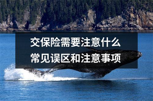 交保险需要注意什么 常见误区和注意事项