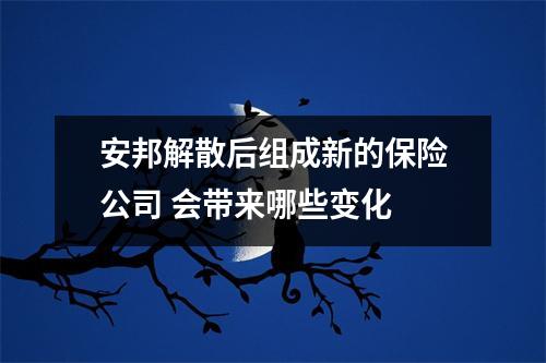 安邦解散后组成新的保险公司 会带来哪些变化