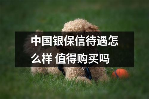 中国银保信待遇怎么样 值得购买吗