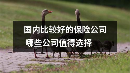 国内比较好的保险公司 哪些公司值得选择