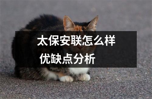 太保安联怎么样 优缺点分析