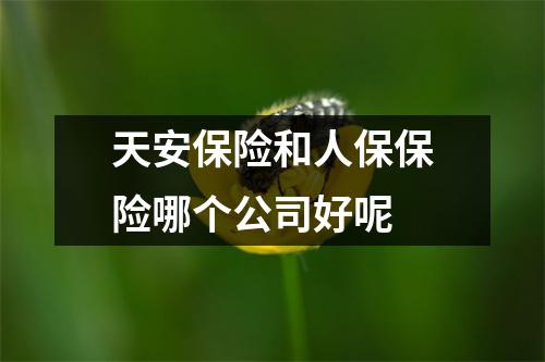 天安保险和人保保险哪个公司好呢