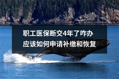 职工医保断交4年了咋办 应该如何申请补缴和恢复