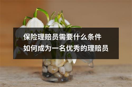 保险理赔员需要什么条件 如何成为一名优秀的理赔员