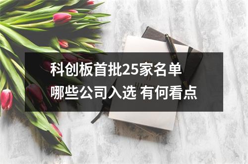 科创板首批25家名单 哪些公司入选 有何看点