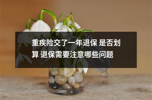 重疾险交了一年退保 是否划算 退保需要注意哪些问题 