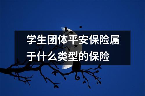 学生团体平安保险属于什么类型的保险