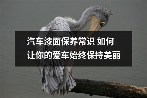 汽车漆面保养常识 如何让你的爱车始终保持美丽