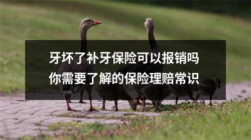 牙坏了补牙保险可以报销吗 你需要了解的保险理赔常识