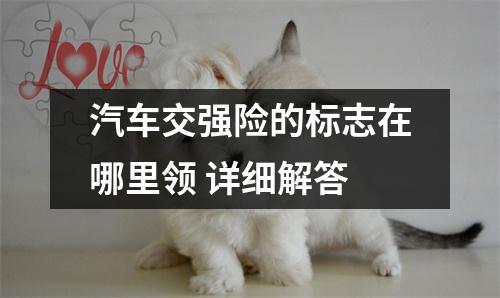 汽车交强险的标志在哪里领 详细解答