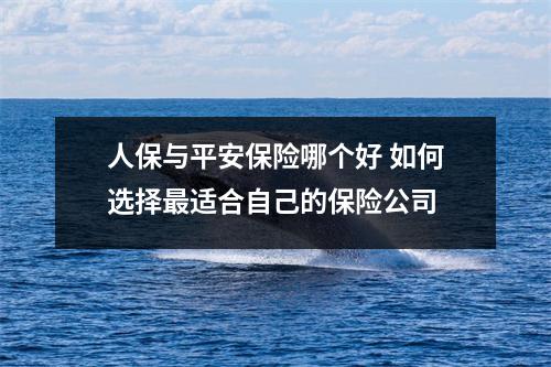 人保与平安保险哪个好 如何选择最适合自己的保险公司