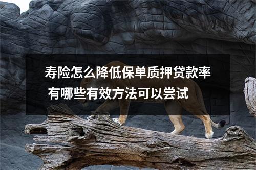 寿险怎么降低保单质押贷款率 有哪些有效方法可以尝试