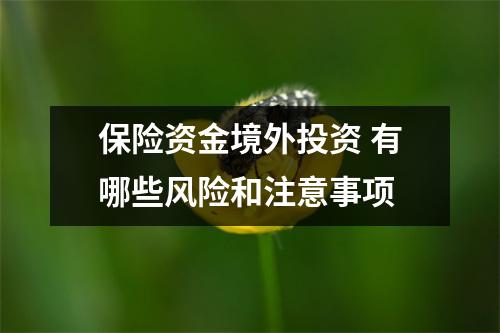 保险资金境外投资 有哪些风险和注意事项