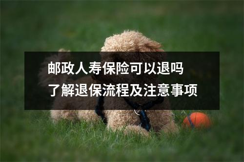 邮政人寿保险可以退吗  了解退保流程及注意事项