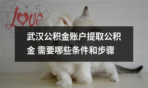 武汉公积金账户提取公积金 需要哪些条件和步骤