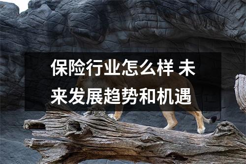 保险行业怎么样 未来发展趋势和机遇