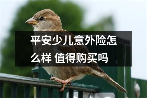 平安少儿意外险怎么样 值得购买吗