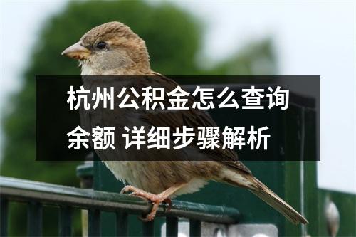 杭州公积金怎么查询余额 详细步骤解析