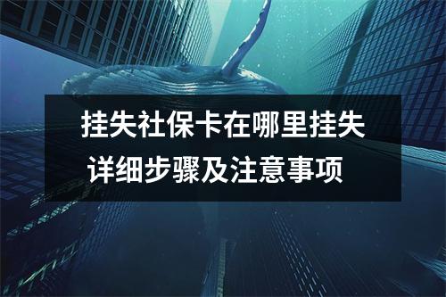 挂失社保卡在哪里挂失 详细步骤及注意事项