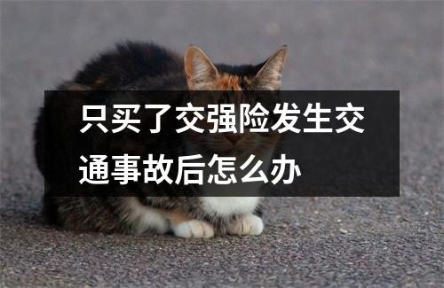 只买了交强险发生交通事故后怎么办